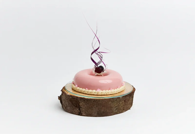 Arets_konditor_tarta_hilma_press